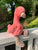 Jellycat Bashful Flamingo Medium
