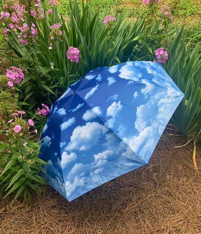 Sky Blue Umbrella