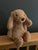 Jellycat Toffee Puppy Small