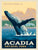 Acadia National Park - WHALE WATCHING Puzzle